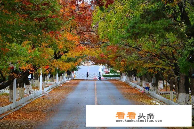 大连更好的六大景点？