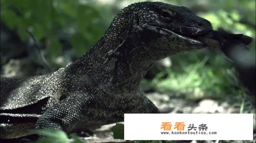 印度尼西亚的自然旅游资源