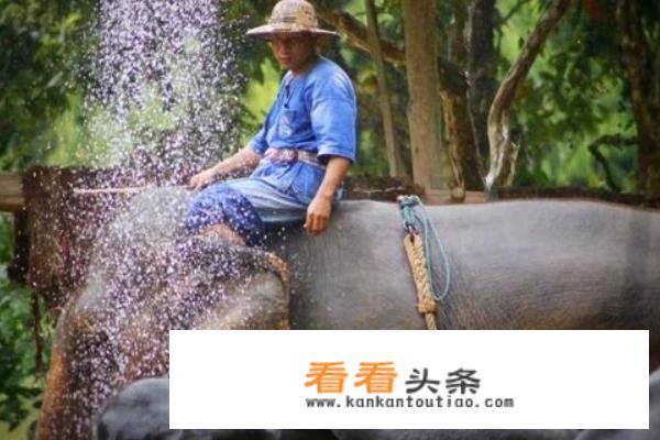 去泰国旅游，哪个季节去更好？