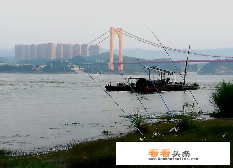 旅游到宜昌夷陵长江大桥拍照很美，宜昌城区还有哪些桥适合拍照？