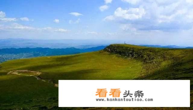 山西吕梁苍儿会大草原需要门票吗？