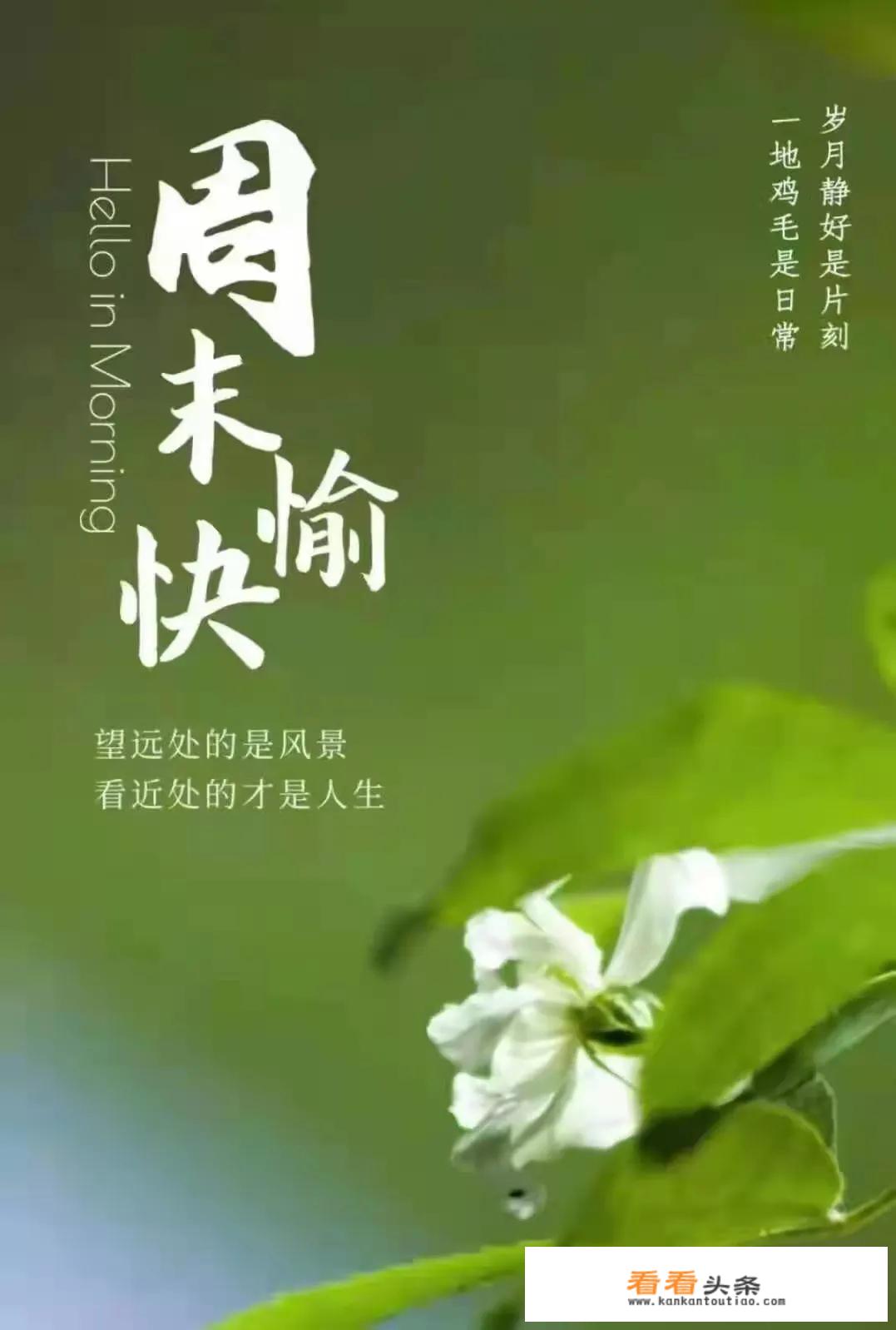 许多老年人年轻的时候爱干净，为什么老了那么邋遢呢？
