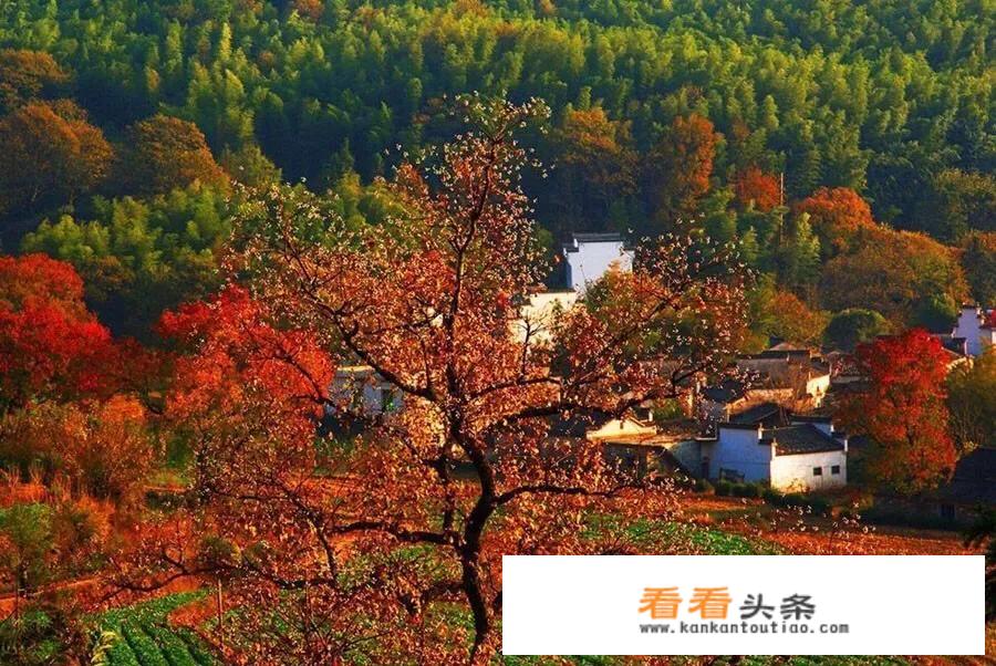 秋季旅游穿什么衣服拍照好看? 秋季旅游穿什么衣服拍照好看?
