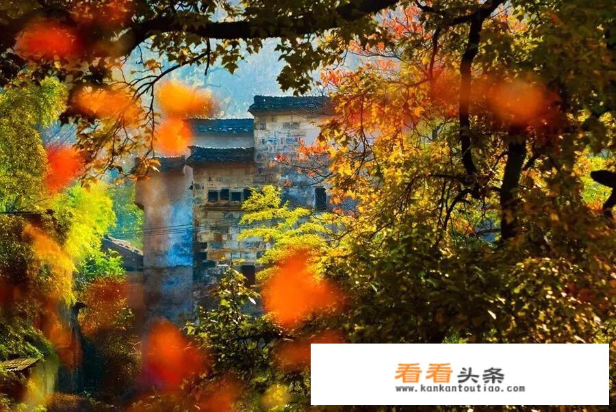 秋季旅游穿什么衣服拍照好看? 秋季旅游穿什么衣服拍照好看?
