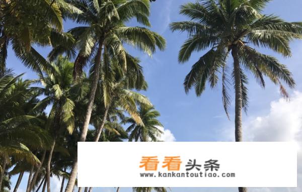 文昌有哪些旅游景点？