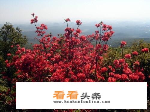 云南大理寺庙排名前十？