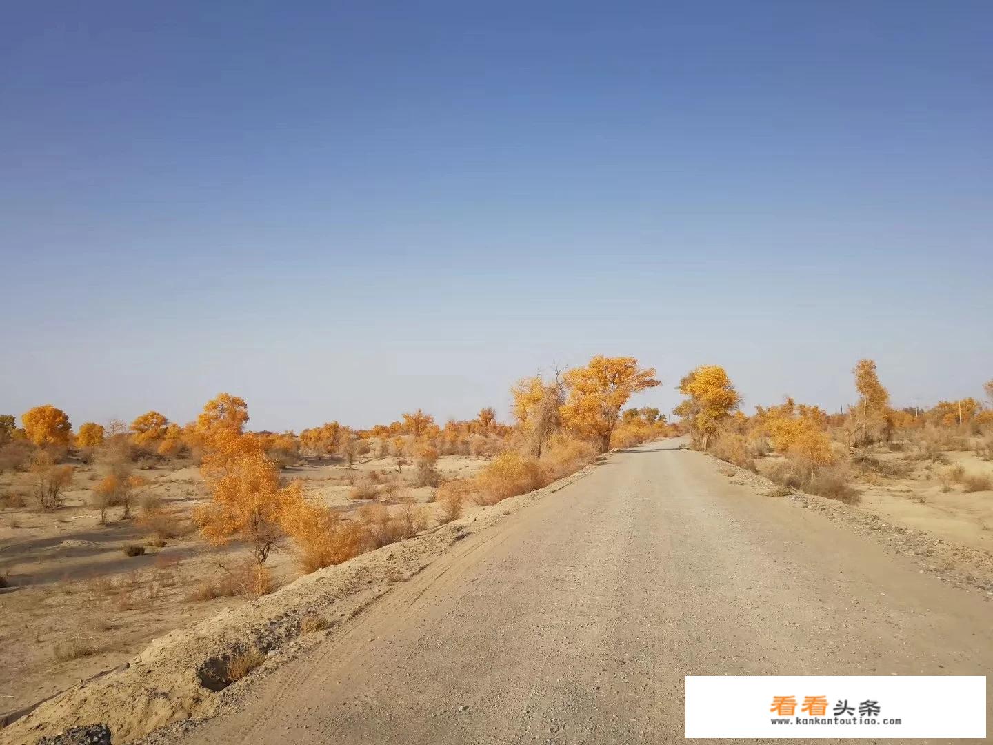 昭苏有什么旅游景点？