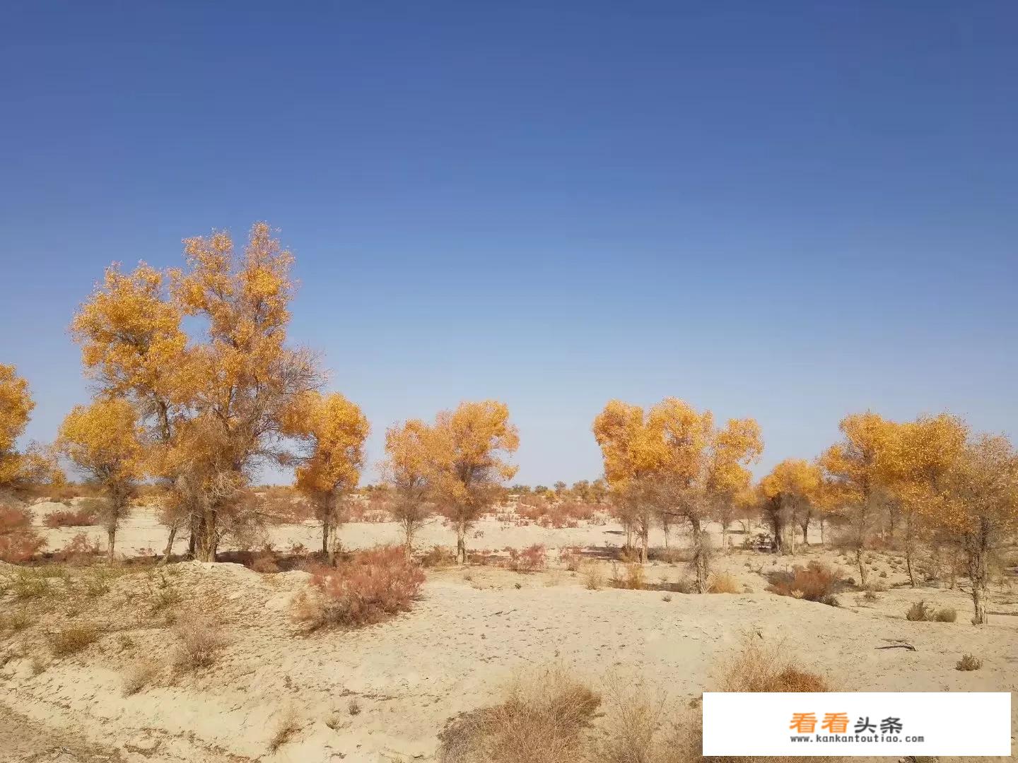 昭苏有什么旅游景点？