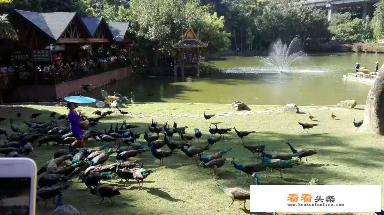 你喜欢去哪个地方旅游理由是什么？
