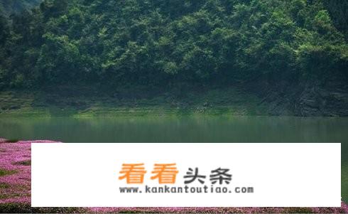 2月初适合去哪里旅游？