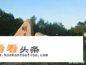 夏天去齐齐哈尔旅游好还是去日照好？