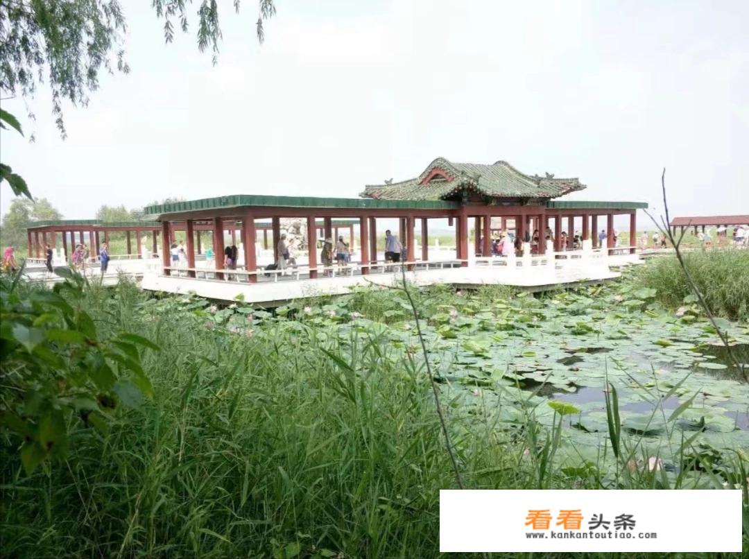 夏天去齐齐哈尔旅游好还是去日照好？