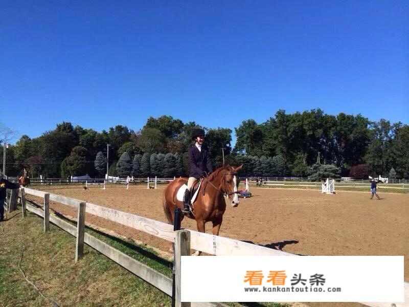 为什么骑马时要喊“驾”？