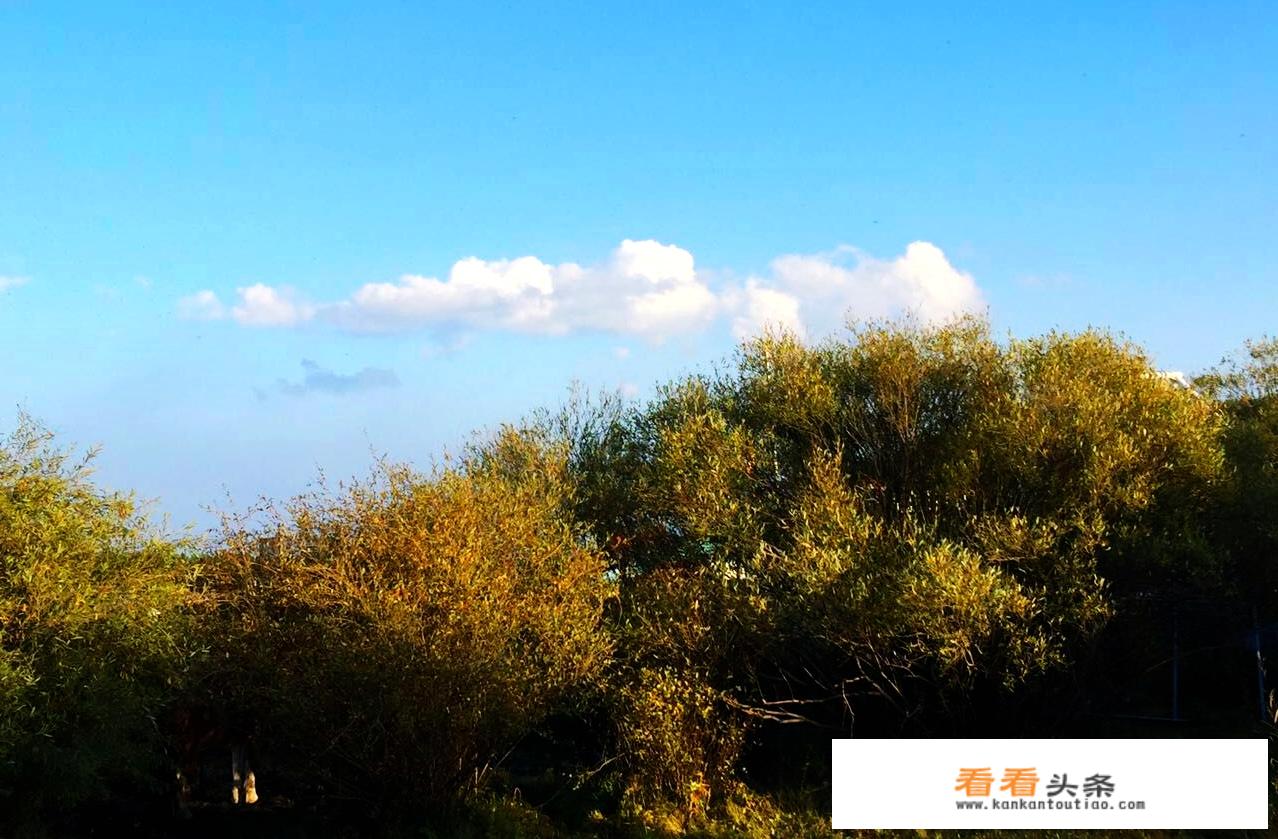 坝上旅游文案？