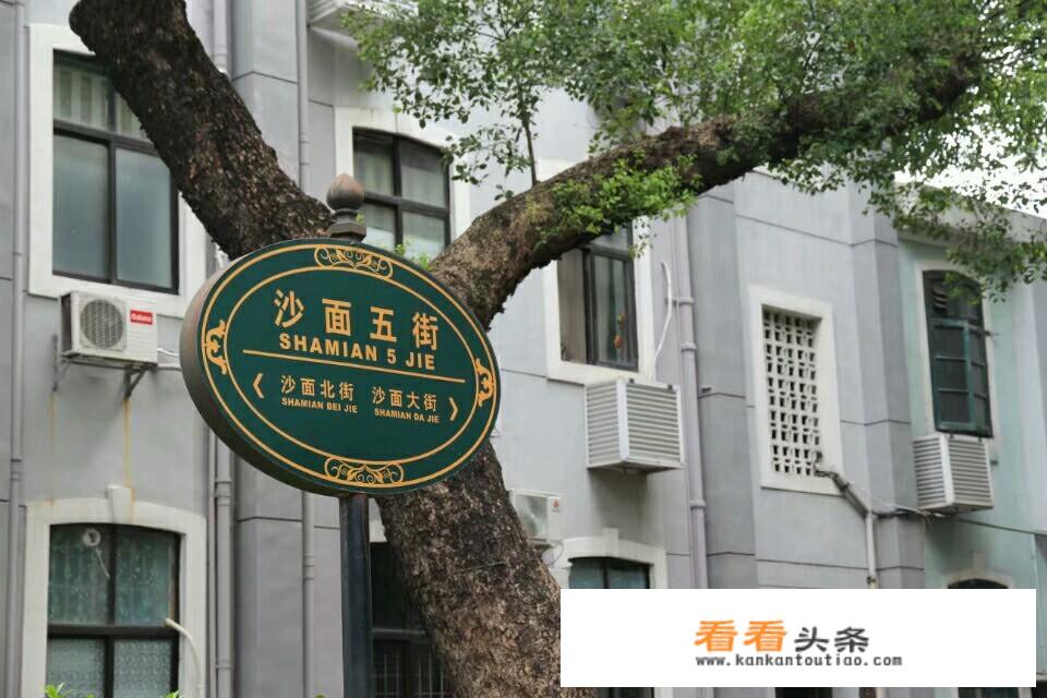 广州和深圳，哪一座城市旅游业发展得更好？