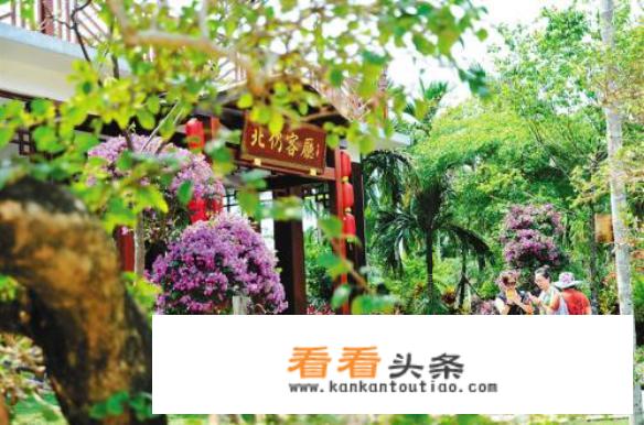 去海南游玩的话自由行还是跟团好？