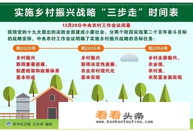 乡村旅游的热点问题？