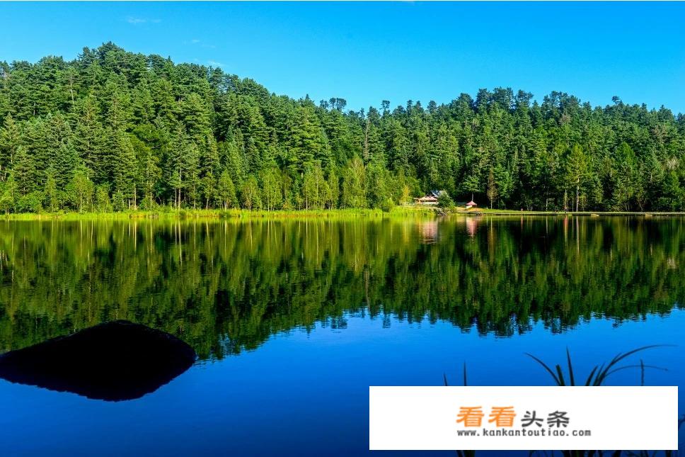 十一去伊春适合吗？