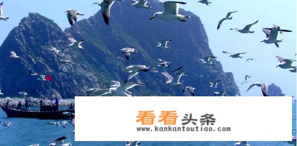 12月份来烟台可以去哪里玩？