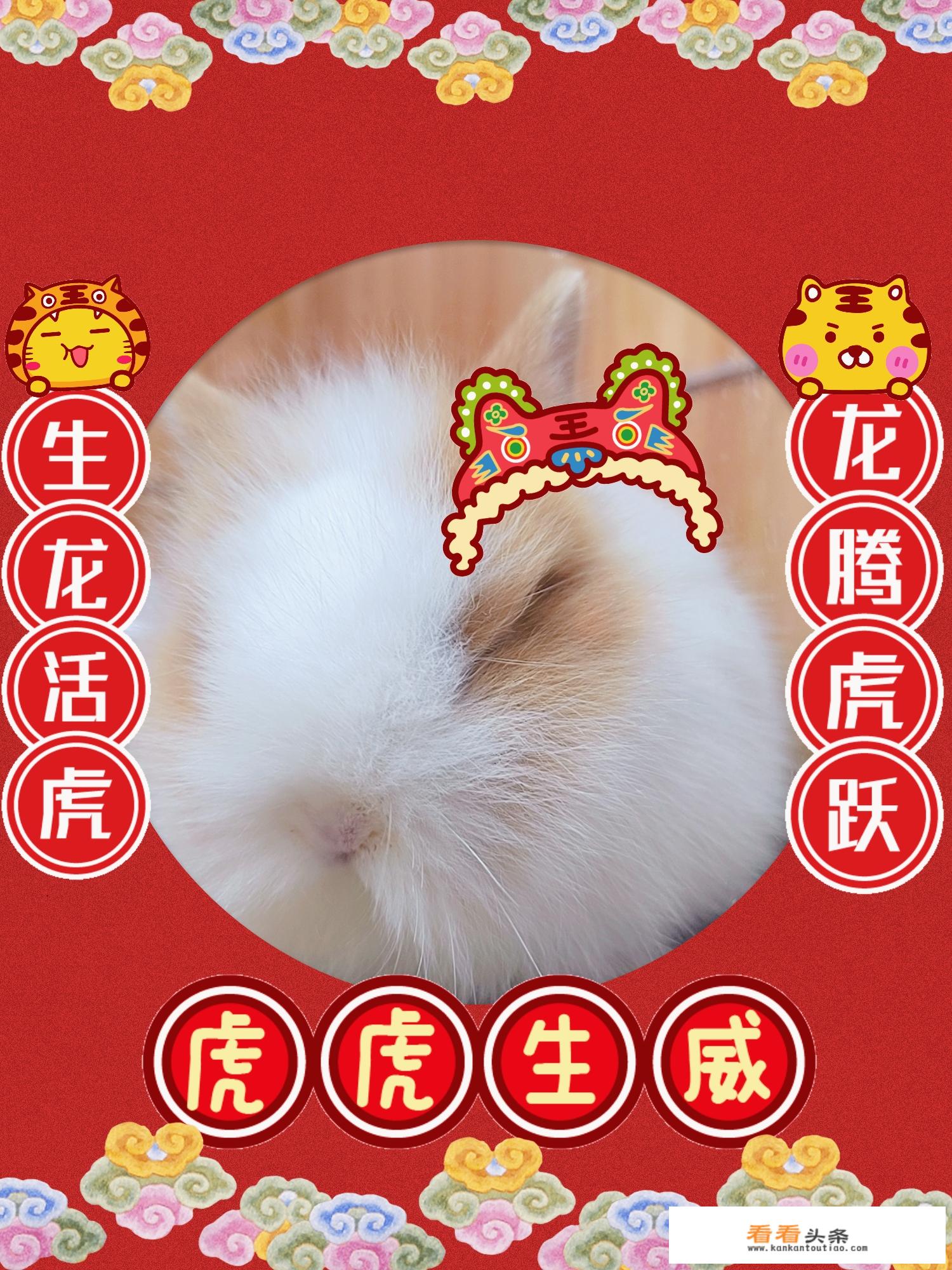 重庆到湖南多少公里路？