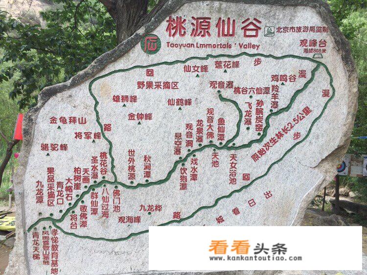 桃源仙谷门票多少？