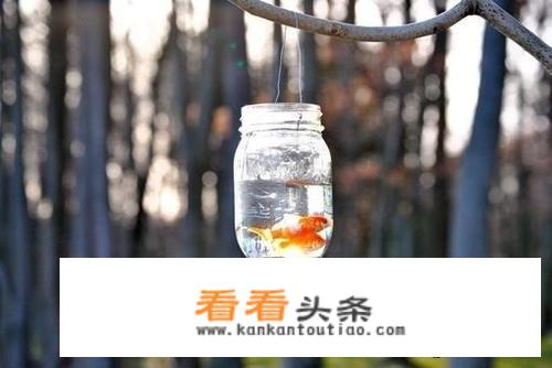 我实在等不及了用成语来形容？