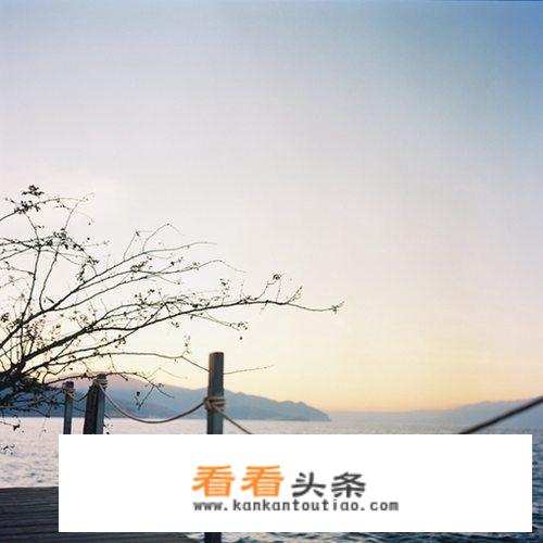 我实在等不及了用成语来形容？