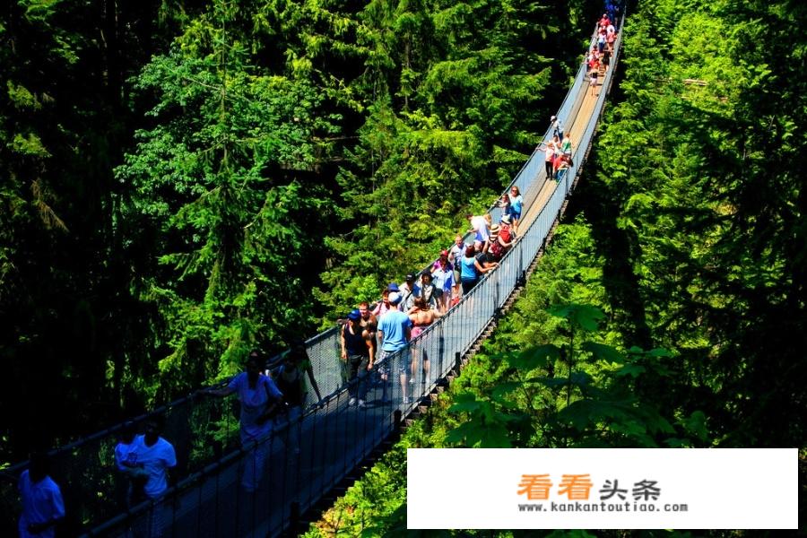 加拿大居民出境旅游主要目的地？
