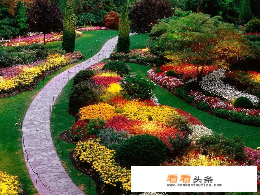 加拿大居民出境旅游主要目的地？