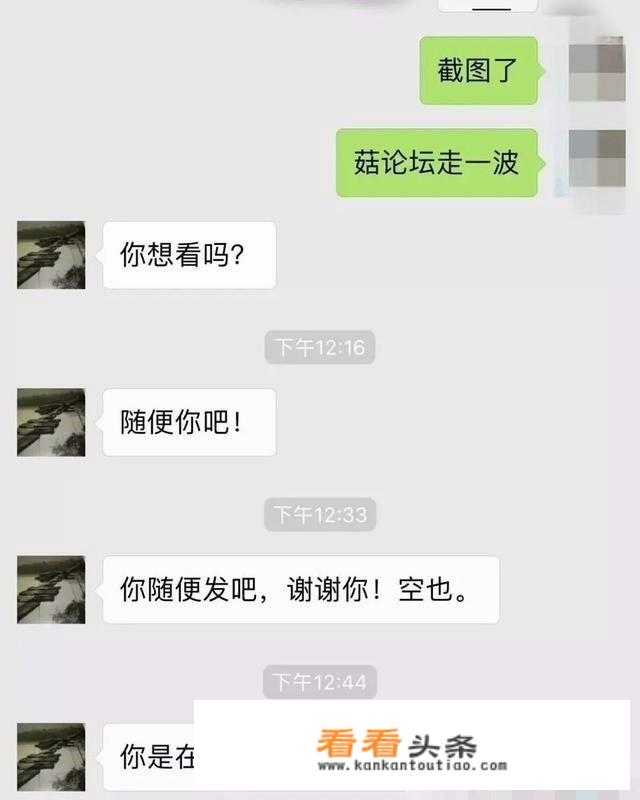 99年是兔年吗？