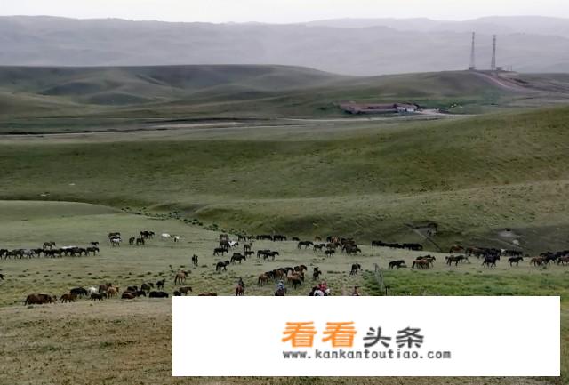 张掖亲子游玩攻略？