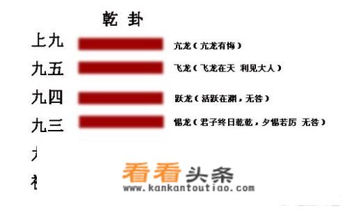 风云武林至尊有什么用？
