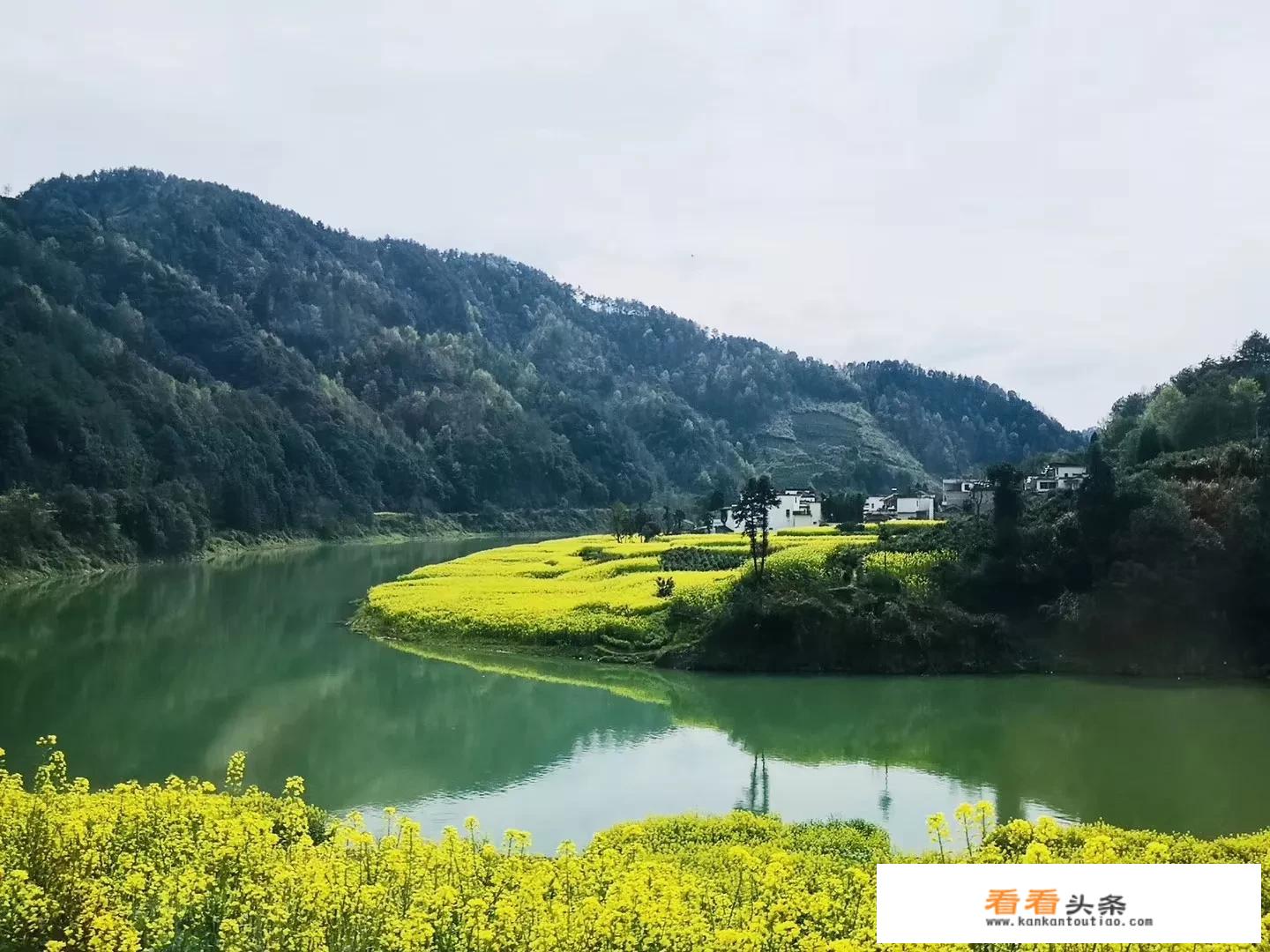 老板为什么会组织员工出去游玩？怎样才能让员工对你忠心？