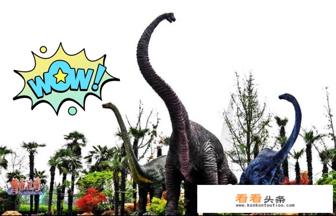 十一月常州哪里风景好？