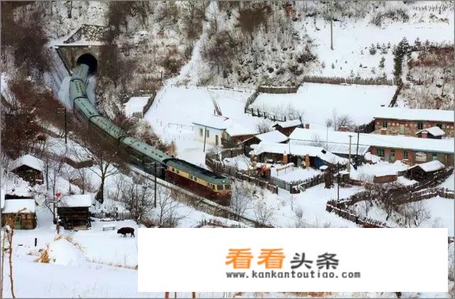 哈尔滨雪乡介绍？
