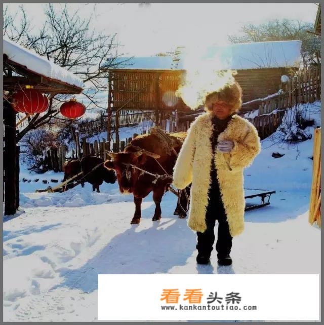 哈尔滨雪乡介绍？