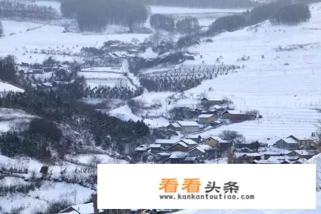 哈尔滨雪乡介绍？