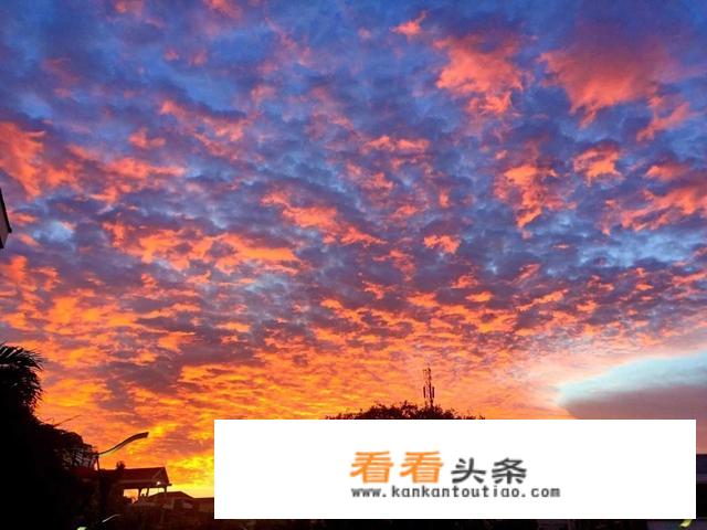 金边机场可以旅游签换商务签吗？