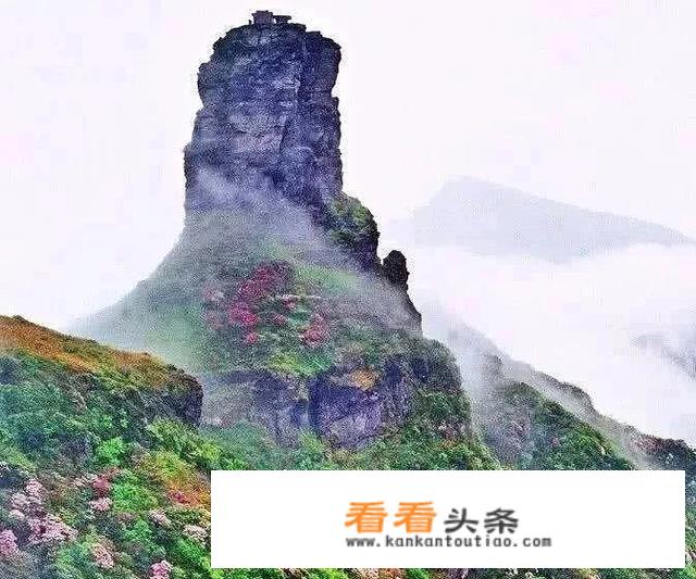 贵州买酒攻略？
