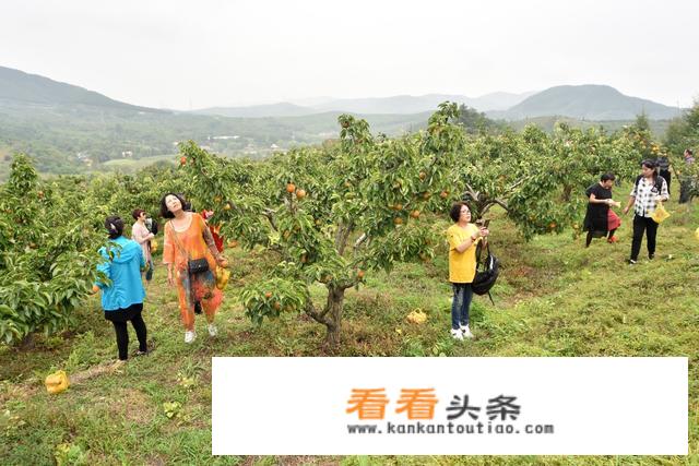 丹东旅游必买清单？