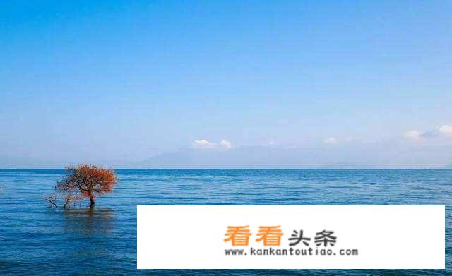 8月大理4天3夜带小孩旅游攻略？