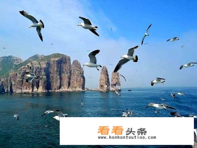离沧州最近而且可以玩耍的海边更佳选择是哪里？