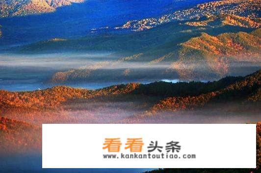 自驾约伴怎么约？