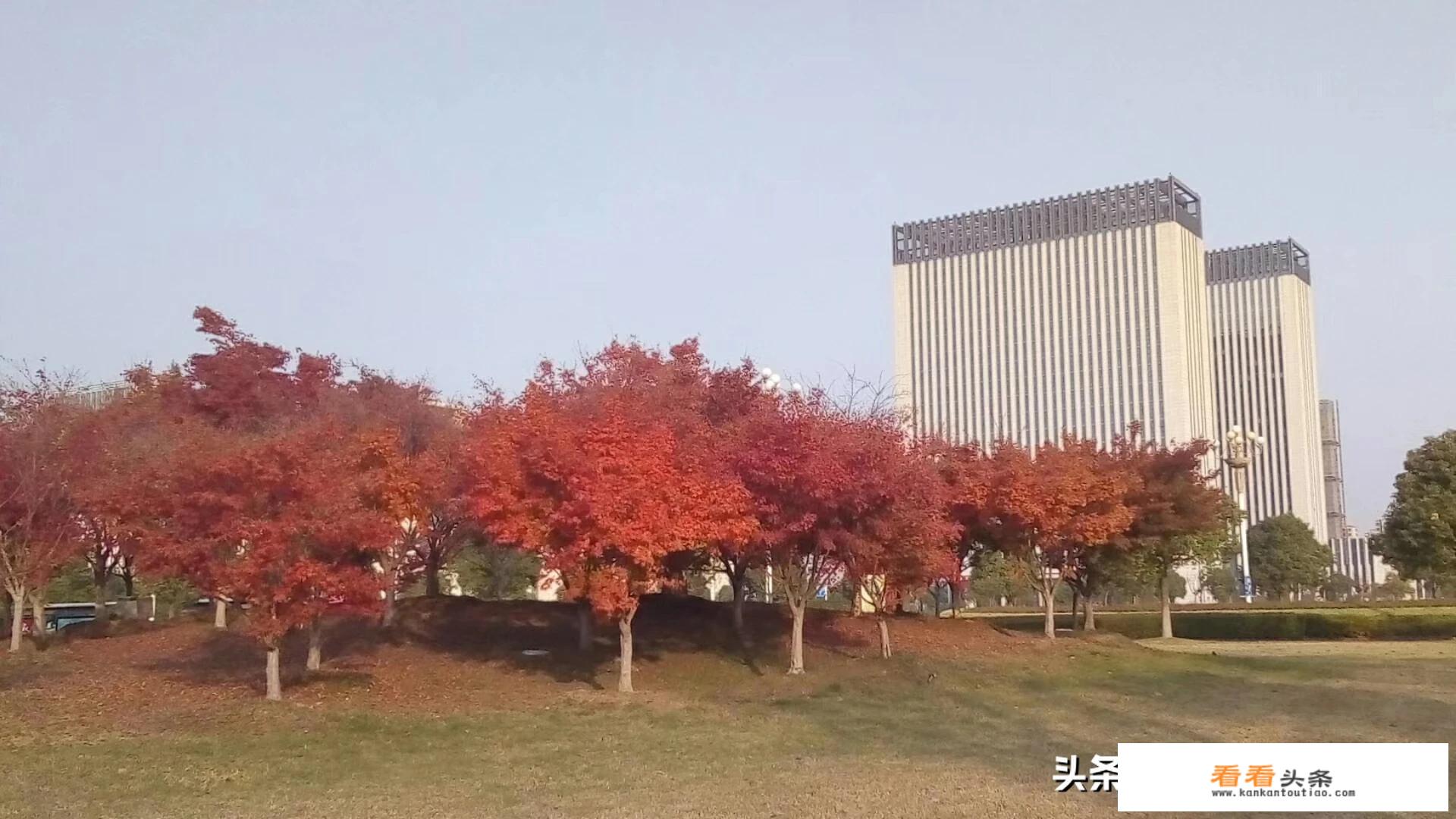 旅游是件开心的事，怎样选择一个好的旅 *** 程？