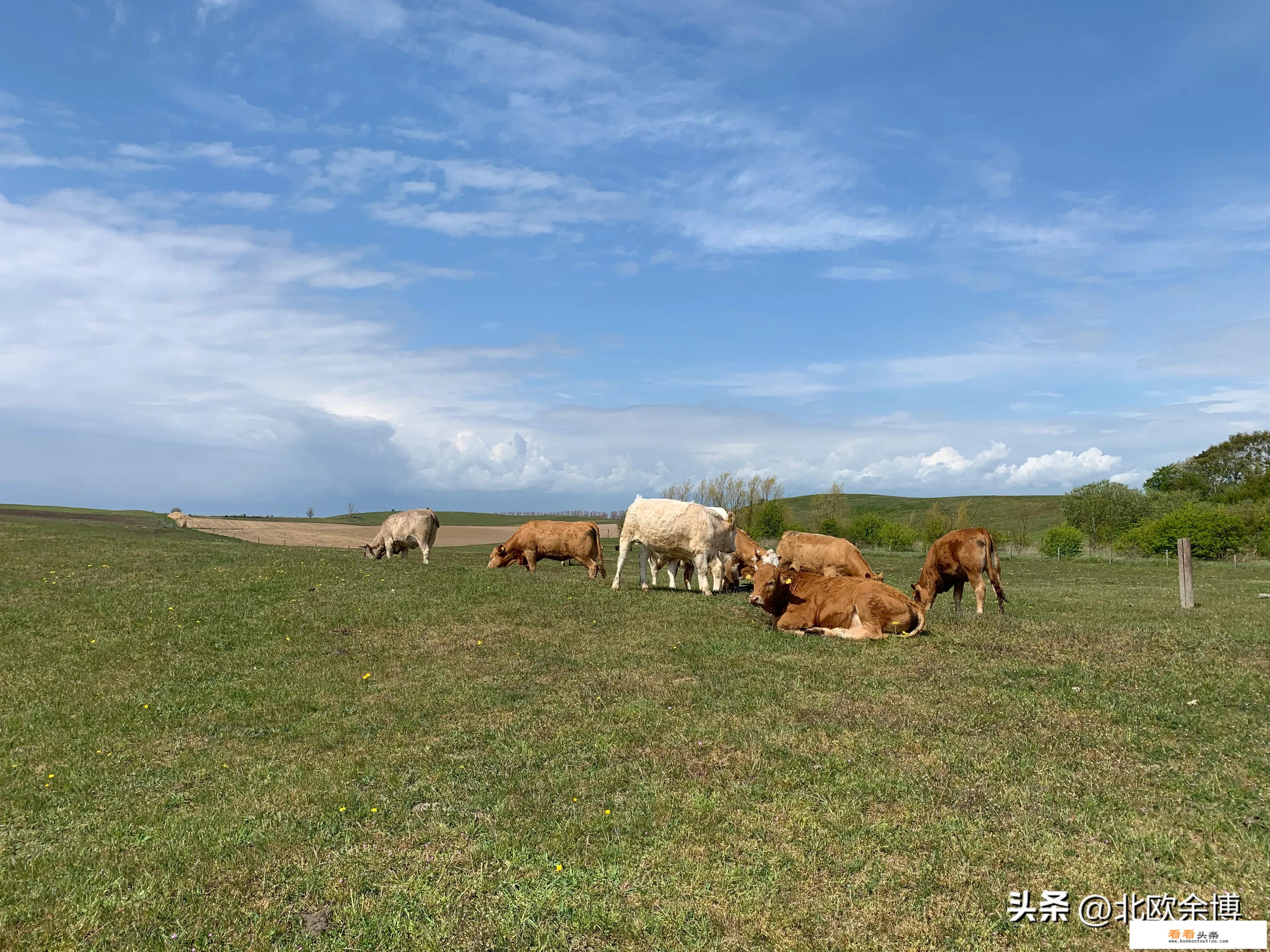 去西欧旅游几月份更好？