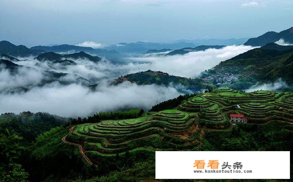 陈赫前妻许婧到处旅行游玩，最近众筹开民宿却遭网友质疑，你怎么看？