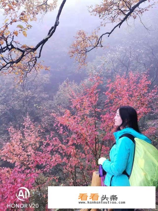 秋天山西旅游哪里的景色更适合观赏？