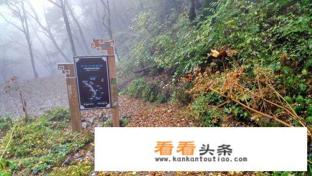 秋天山西旅游哪里的景色更适合观赏？
