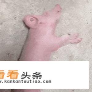 关于旅行的文字？