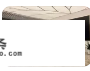 金鸡湖一日游更佳路线？